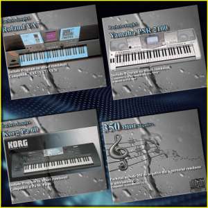 Programe cu Ritmuri clape Korg,  Yamaha Roland,  GEM si Casio.