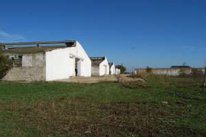 vand ferma in giurgiu