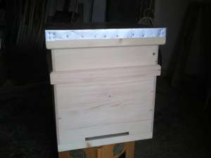 VAND STUPI DE ALBINE COMPLET ECHIPATI