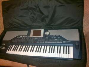 Vard orga korg pa-800