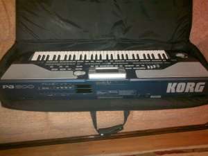 Vard orga korg pa-800