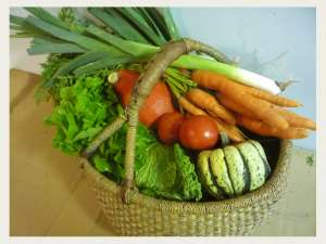 vand legume bio