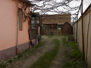 Vand casa in satul Dacia