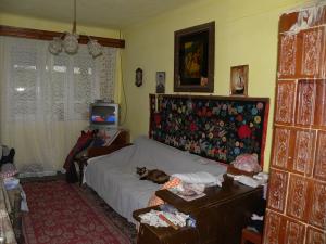 Vand casa in satul Dacia