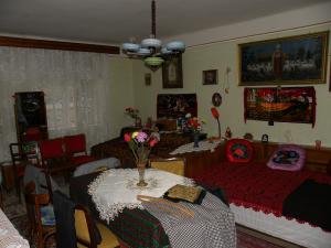 Vand casa in satul Dacia