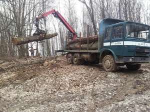 VIND MAN 6X6