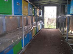 VAND PAVILION APICOL