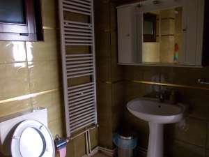 Vila (S+P+1+M) - zona Unirii