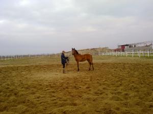 MINZ ANDALUZ DE VINZARE