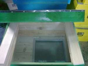 execut stupi de albine