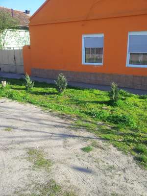 Vand casa cu gradina  in Lovrin,       Timis