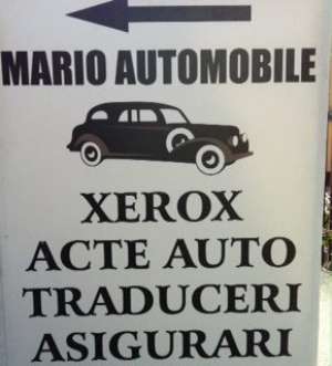 acte auto,    traduceri,    asigurari