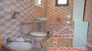 INCHIRIEZ VILA,   D+P+E,   ZONA CALEA DUMBRAVII