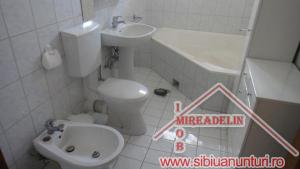 INCHIRIEZ VILA,   D+P+E,   ZONA CALEA DUMBRAVII