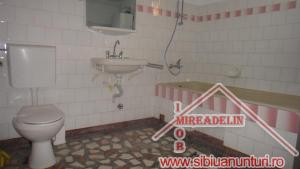 INCHIRIEZ VILA,   D+P+E,   ZONA CALEA DUMBRAVII