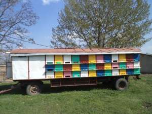 Vand pavilion 72 familii
