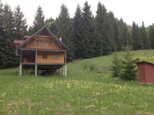 vazare teren si cabana colibita