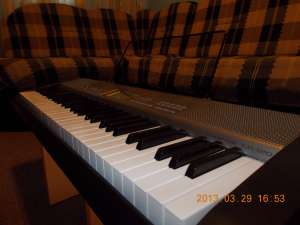 Vand orga casio