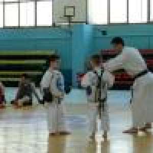 CURSURI KARATE