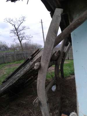 grinda stejar demolari