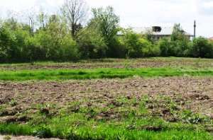 Particular vand teren jandarmeriei 11700 mp