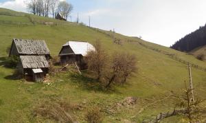 Vand teren intravilan in Muntele Baisorii