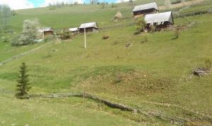 Vand teren intravilan in Muntele Baisorii