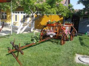 Car rustic
