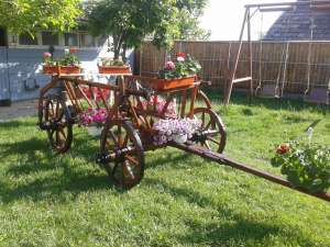 Car rustic
