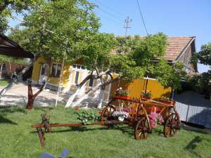 Car rustic