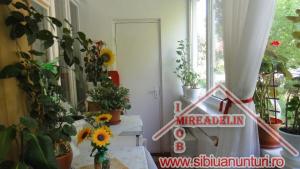 VAND APARTAMENT 2 camere ,   Mihai Viteazu