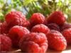 VAND CIUPERCI SI FRUCTE DE PADURE PE BAZA DE COMANDA