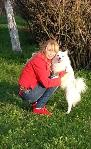 Monta Spitz German Mascul