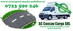 Transport Mobila