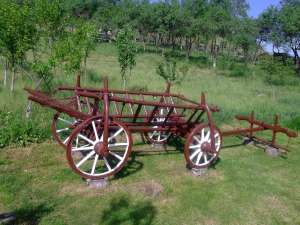 car vechi ( caruta )