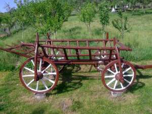 car vechi ( caruta )