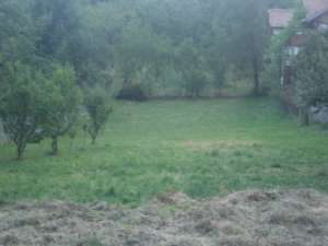 Teren de vanzare in Maneciu,  Prahova,  1000 mp