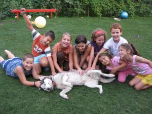 pierdut catelusa husky tg mures