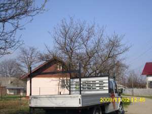 transport de marfa