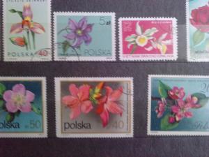Catalog cu timbre flori si insecte