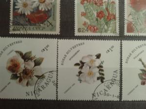 Catalog cu timbre flori si insecte
