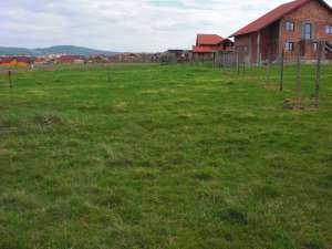 Vand teren intravilan,  500 mp Dumbrava nord
