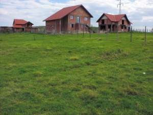 Vand teren intravilan,  500 mp Dumbrava nord