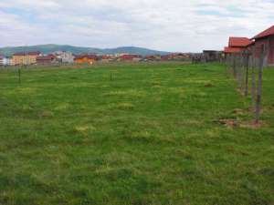 Vand teren intravilan,  500 mp Dumbrava nord