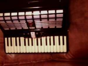 PARROT 60 de basi