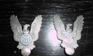 Vand insigne aviator
