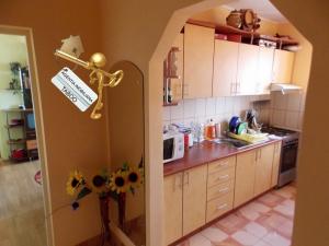 Apartament cu 2 camere ,   zona Ciresica