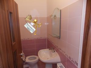 Penthouse de lux oferit spre vanzare in Sibiu zona Cedonia.