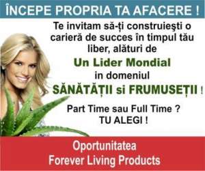 Colaborare companie internationala