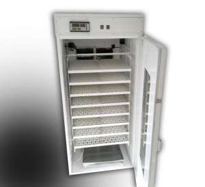 incubator oua prepelita